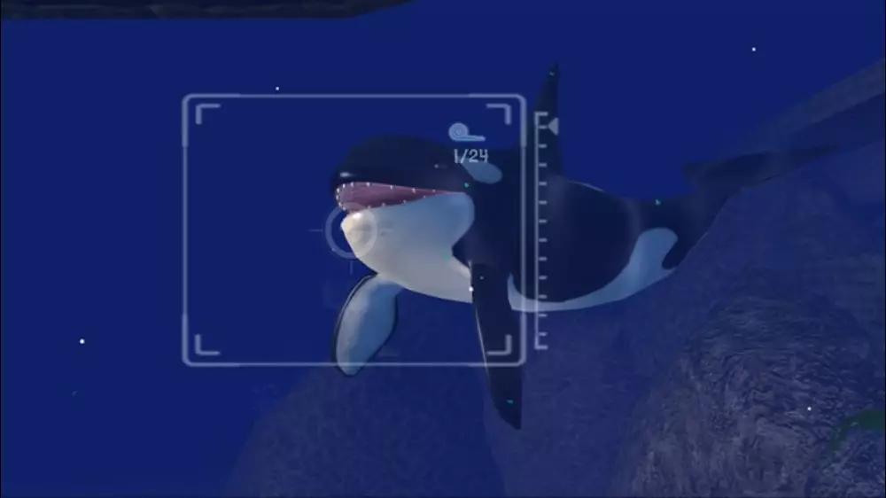 -Sealife Safari-游戏截图-好玩游戏库