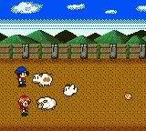 -Harvest Moon 2 GBC (1999)-游戏截图-好玩游戏库