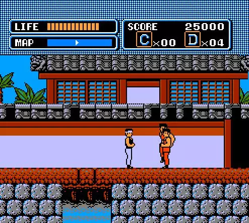 -The Karate Kid-游戏截图-好玩游戏库