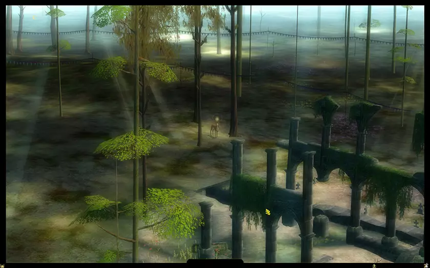 The Endless Forest
