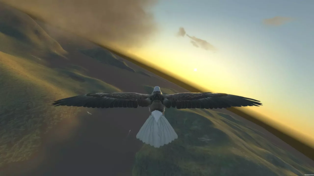 -Aquila Bird Flight Simulator-游戏截图-好玩游戏库