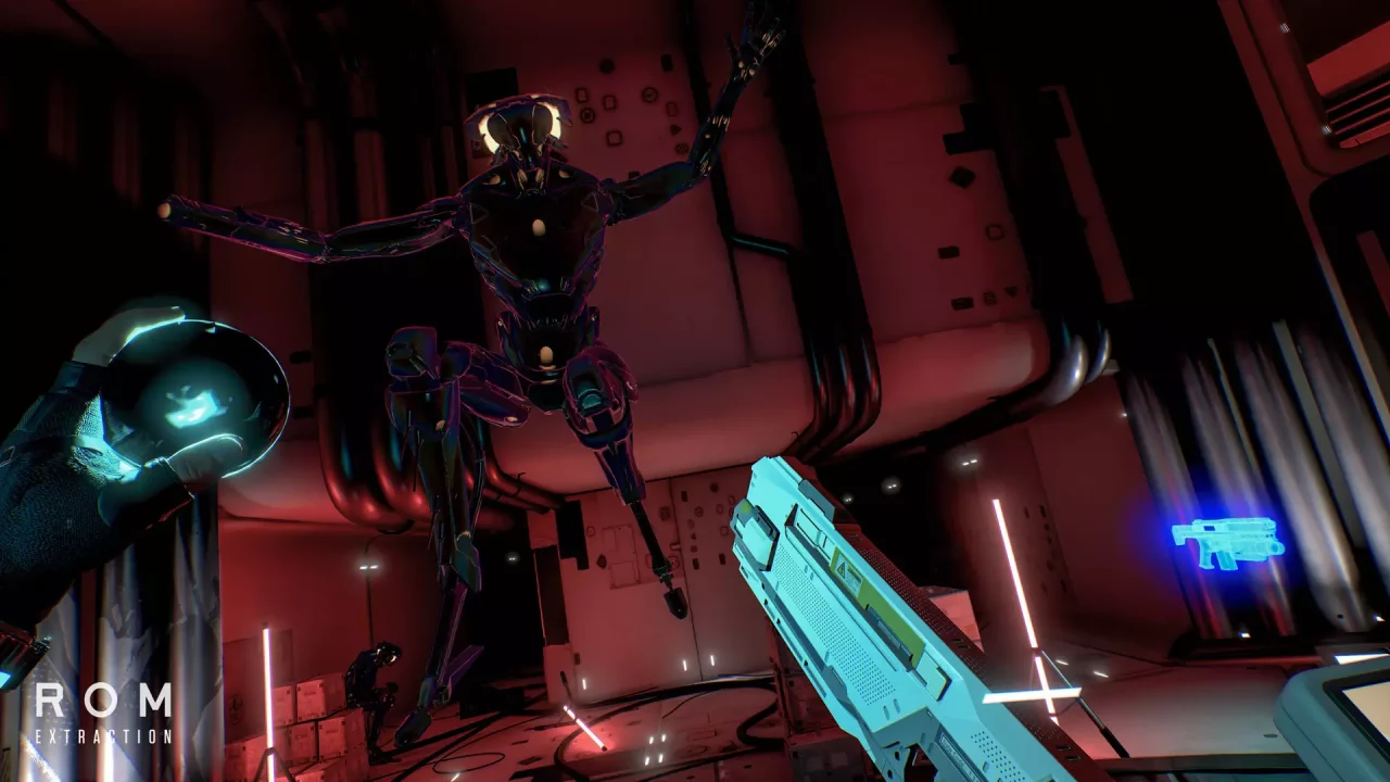 ROM: Extraction