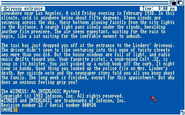 -The Witness (1983)-游戏截图-好玩游戏库
