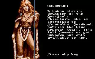 -Advanced Dungeons & Dragons: Heroes of the Lance-游戏截图-好玩游戏库