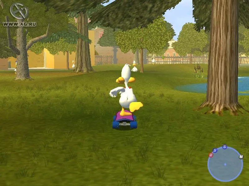 Sitting Ducks
