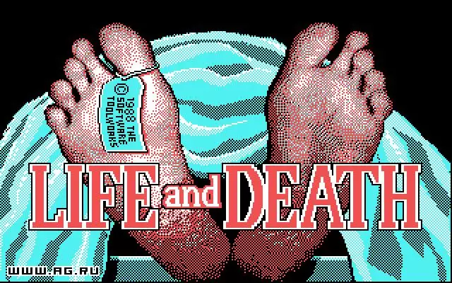 -Life & Death-游戏截图-好玩游戏库
