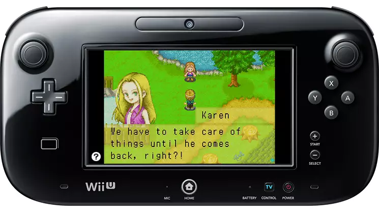 -Harvest Moon: Friends of Mineral Town (Wii)-游戏截图-好玩游戏库