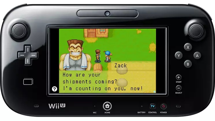 -Harvest Moon: Friends of Mineral Town (Wii)-游戏截图-好玩游戏库