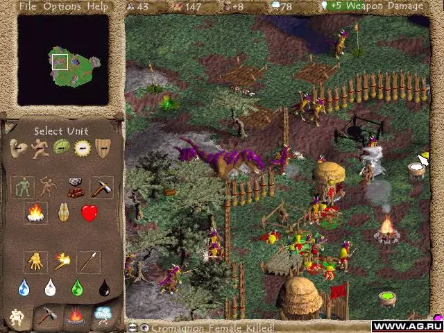 Dawn of War