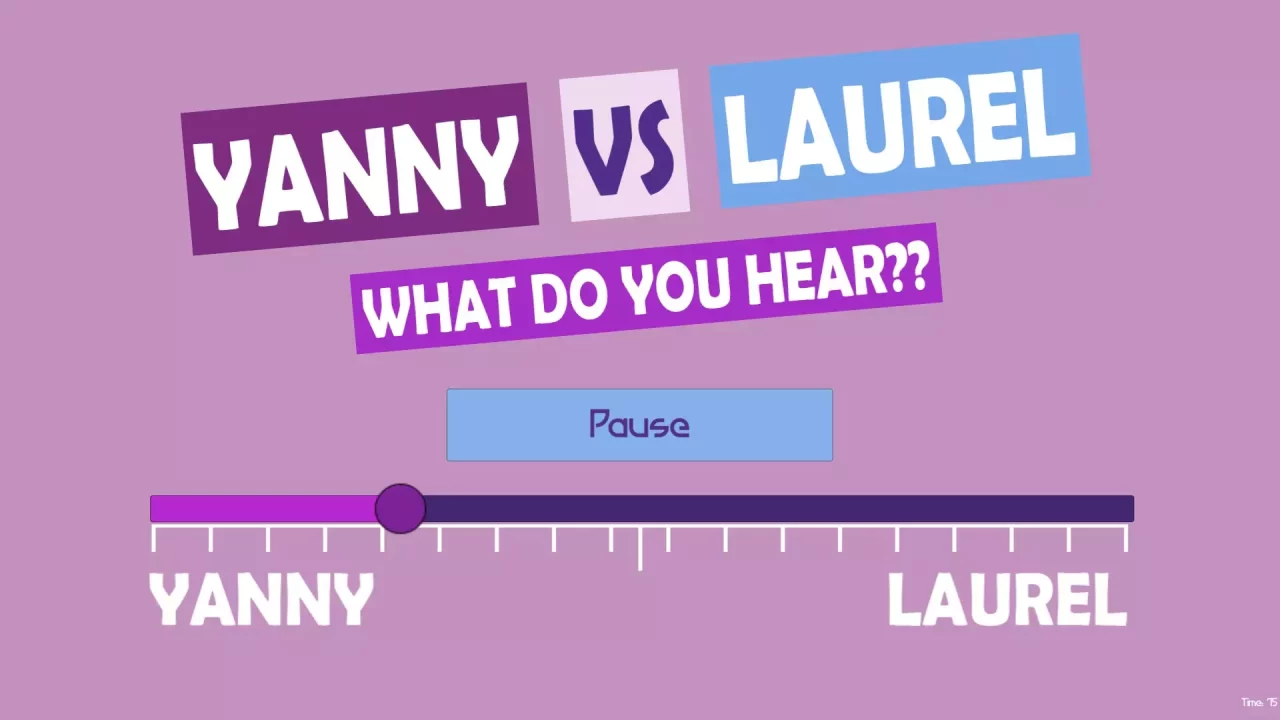 -What do you hear?? Yanny vs Laurel-游戏截图-好玩游戏库