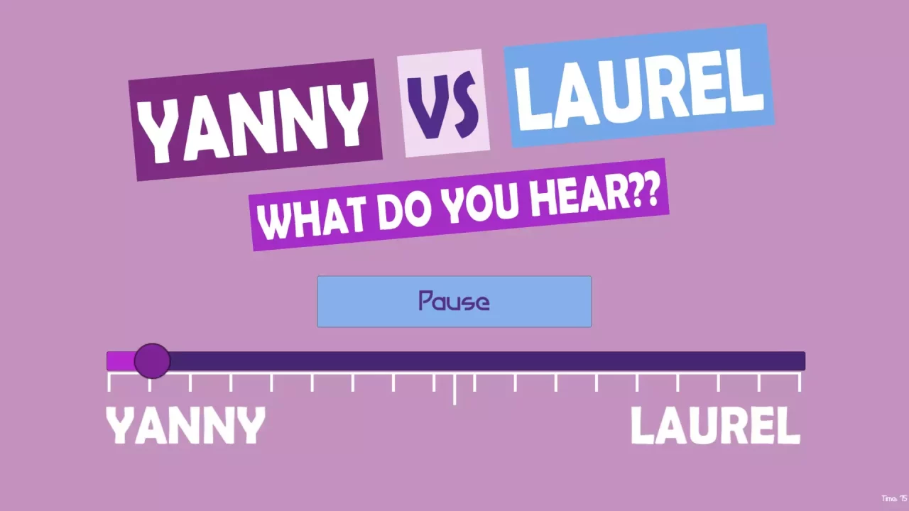 -What do you hear?? Yanny vs Laurel-游戏截图-好玩游戏库