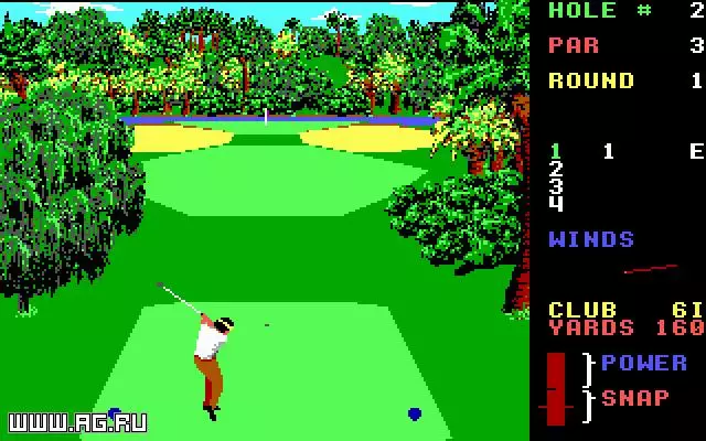-World Class Leader Board Golf-游戏截图-好玩游戏库
