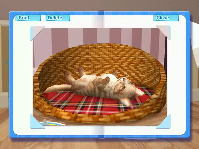 -Petz Catz 2-游戏截图-好玩游戏库