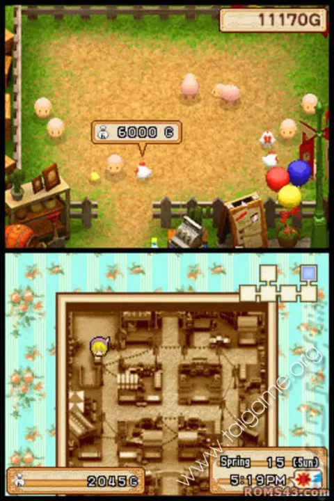 -Harvest Moon DS: Grand Bazaar-游戏截图-好玩游戏库