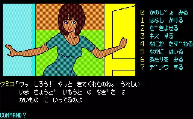 -The Karuizawa Kidnapping Guide-游戏截图-好玩游戏库