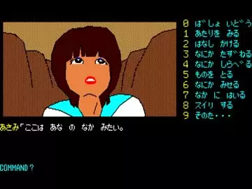-The Karuizawa Kidnapping Guide-游戏截图-好玩游戏库