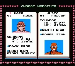 -Tecmo World Wrestling-游戏截图-好玩游戏库